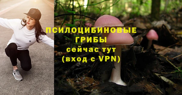 прущая мука Алексин