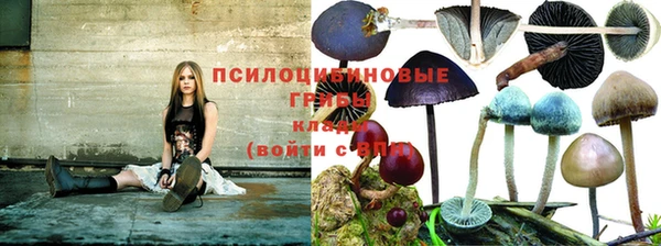 spice Алзамай