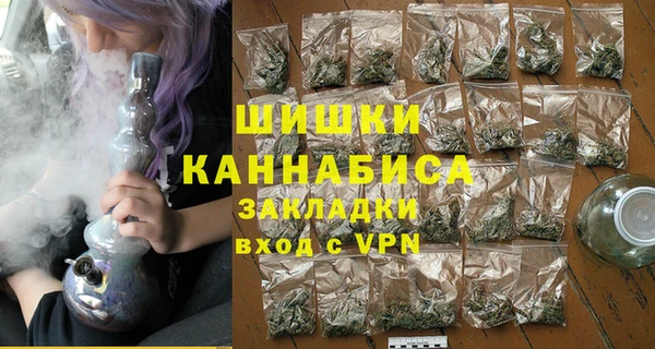 индика Семёнов