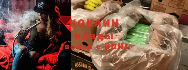 spice Алзамай