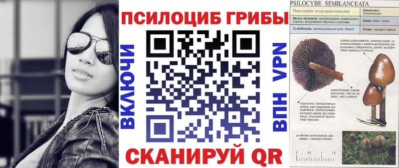 MEGA как войти цены наркотик Беслан Псилоцибиновые грибы Magic Shrooms