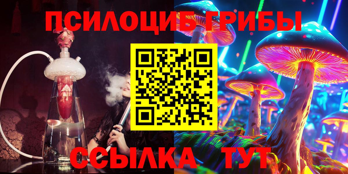 Беслан  Псилоцибиновые грибы Cubensis  Вход с VPN 