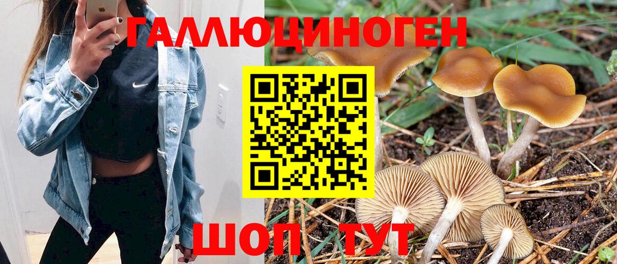 Галлюциногенные грибы прущие грибы Беслан